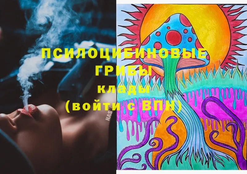 Псилоцибиновые грибы Magic Shrooms  Кореновск 